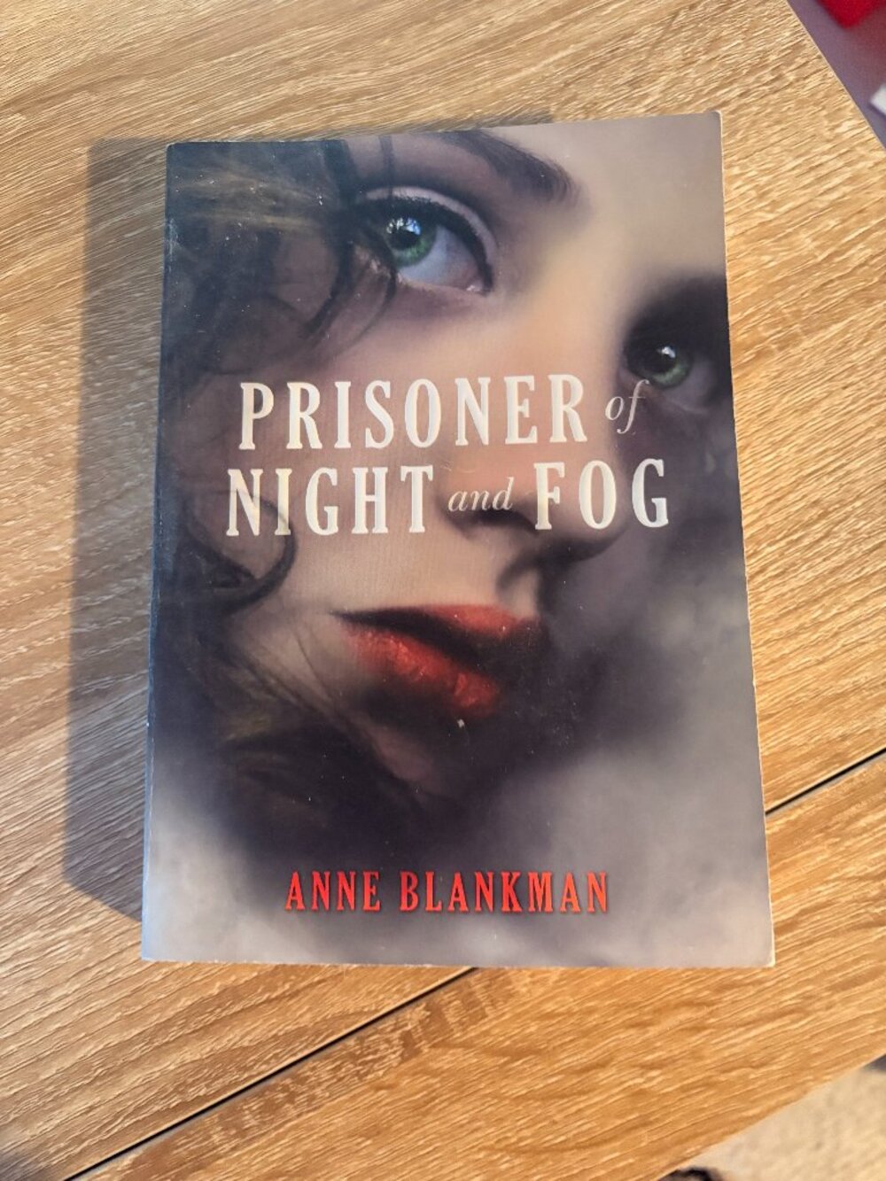 Prisoner of Night and Fog by Anne Blankman